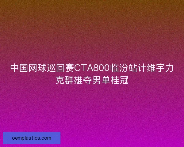 中国网球巡回赛CTA800临汾站计维宇力克群雄夺男单桂冠