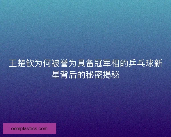 王楚钦为何被誉为具备冠军相的乒乓球新星背后的秘密揭秘
