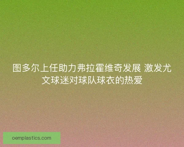 图多尔上任助力弗拉霍维奇发展 激发尤文球迷对球队球衣的热爱