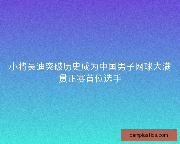 小将吴迪突破历史成为中国男子网球大满贯正赛首位选手